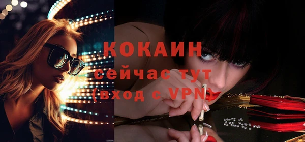 МДПВ Кукмор