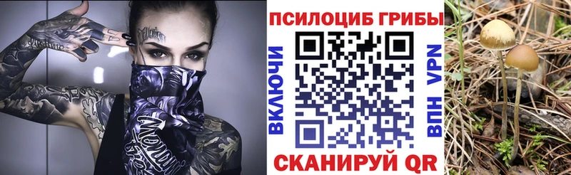 Псилоцибиновые грибы GOLDEN TEACHER  хочу   Сосновоборск 