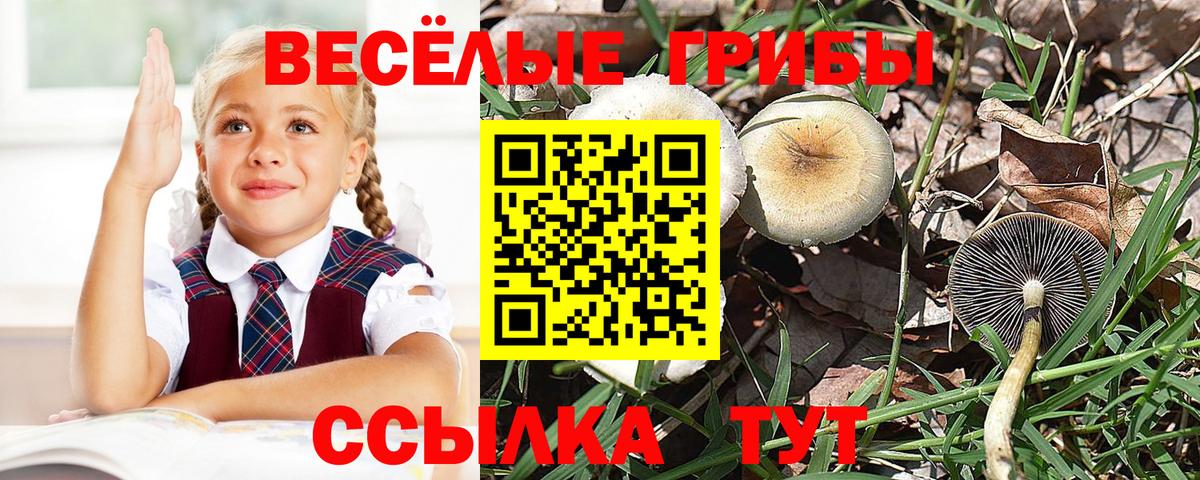 Псилоцибиновые грибы мухоморы  Галлюциногенные грибы Psilocybe  Вход с VPN  Сосновоборск 